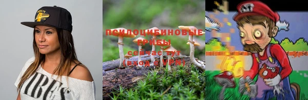 твердый Верхний Тагил