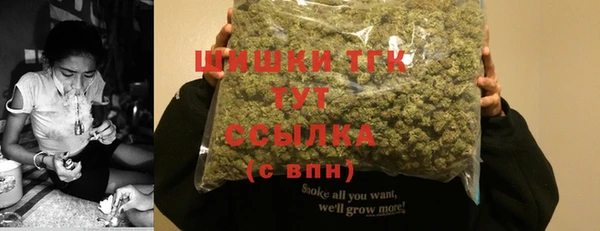 твердый Верхний Тагил