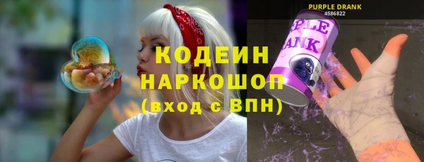 индика Верея