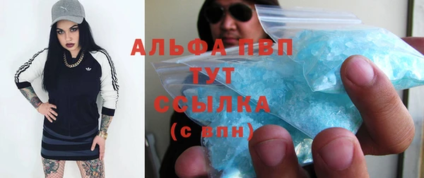 индика Верея