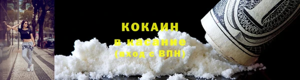 индика Верея