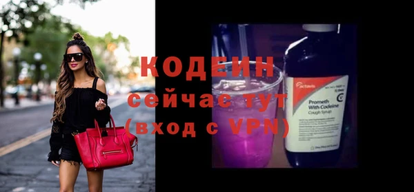 индика Верея